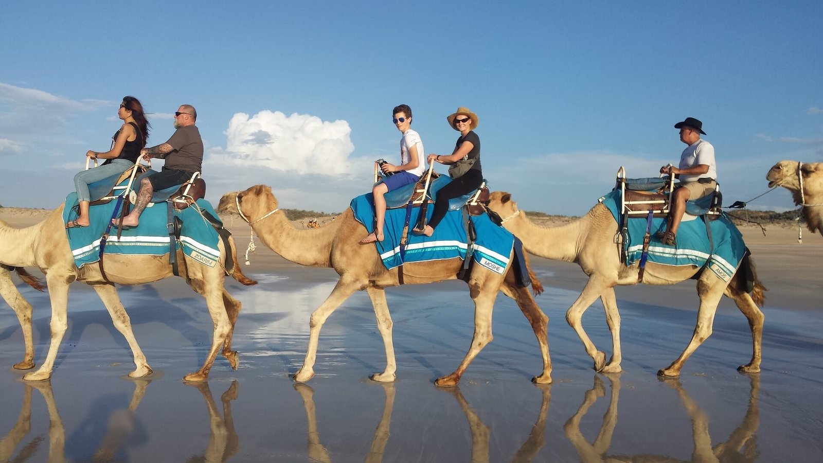 https://www.jabalivacation.com/wp-content/uploads/2022/11/Camel-riding.jpg